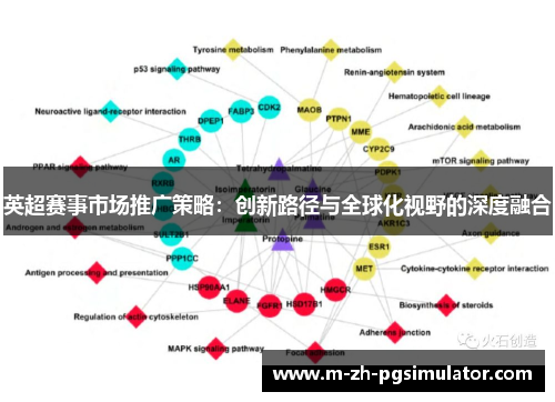 英超赛事市场推广策略：创新路径与全球化视野的深度融合