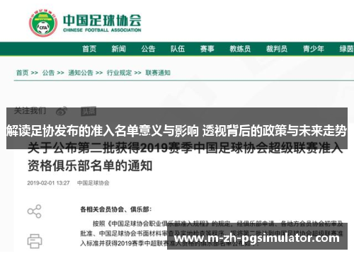 解读足协发布的准入名单意义与影响 透视背后的政策与未来走势